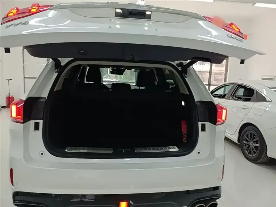 WEY Wey VV6