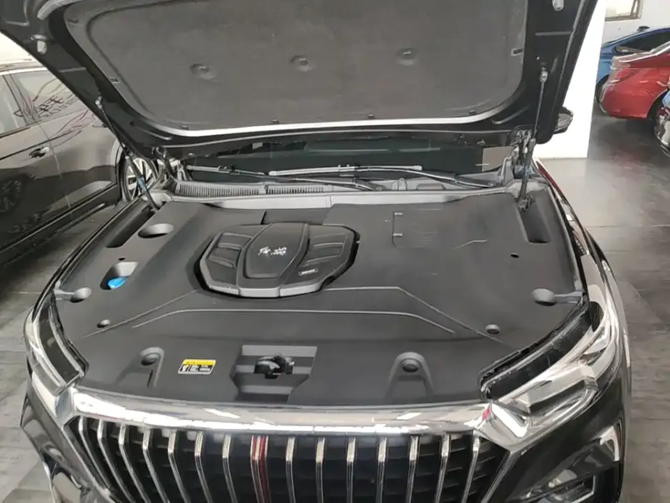 Hongqi Hongqi HS5