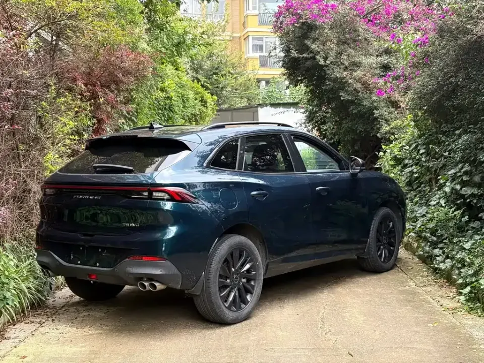 Fengxing Fengxing T5 EVO