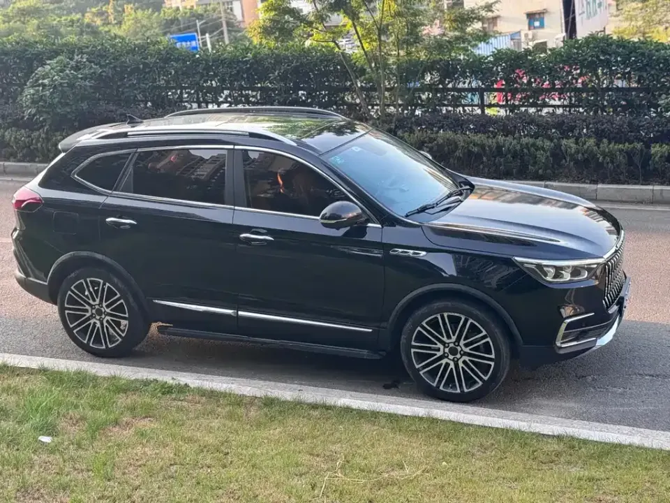 Leopaard Mattu
