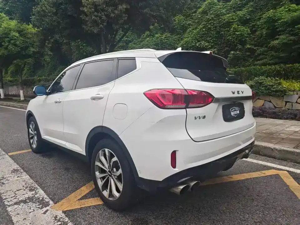 WEY Wey VV6