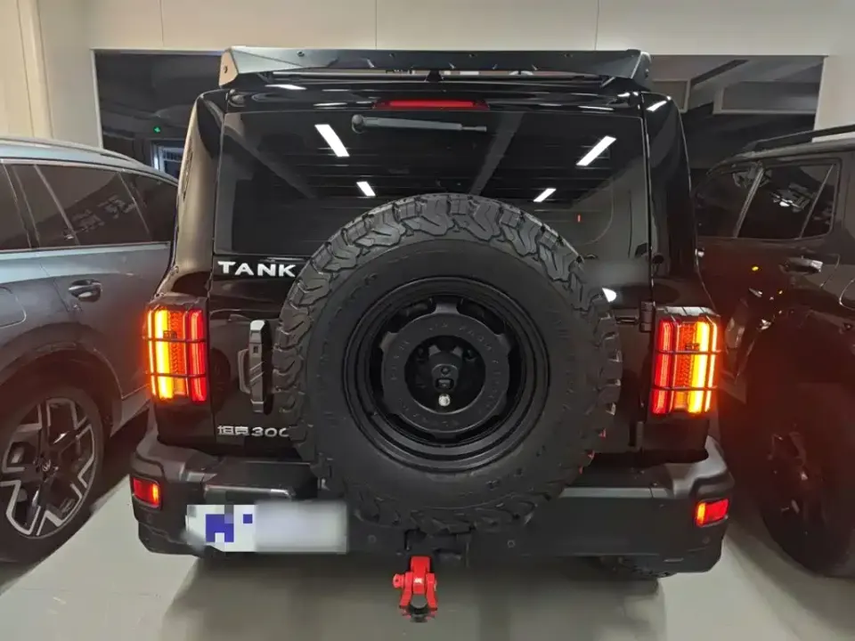 Tank 300