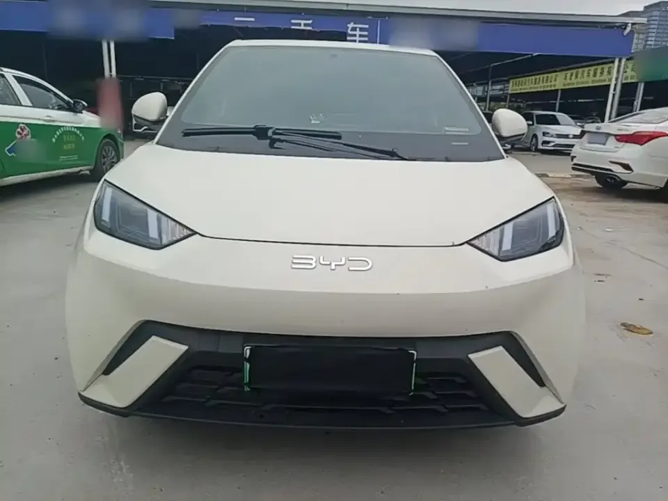 BYD Seagull