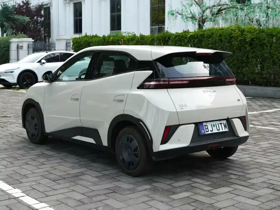 BYD Seagull