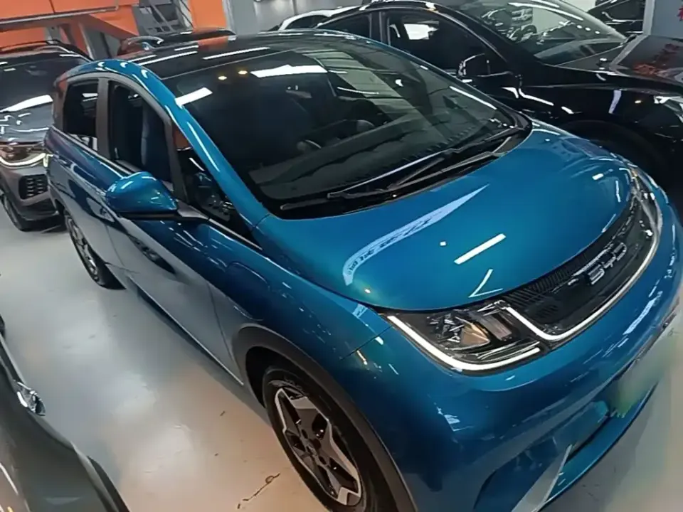 BYD Dolphin