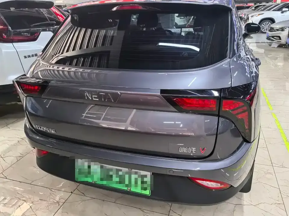 Neta Neta V