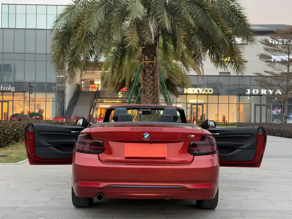 BMW 2 Series (Import)