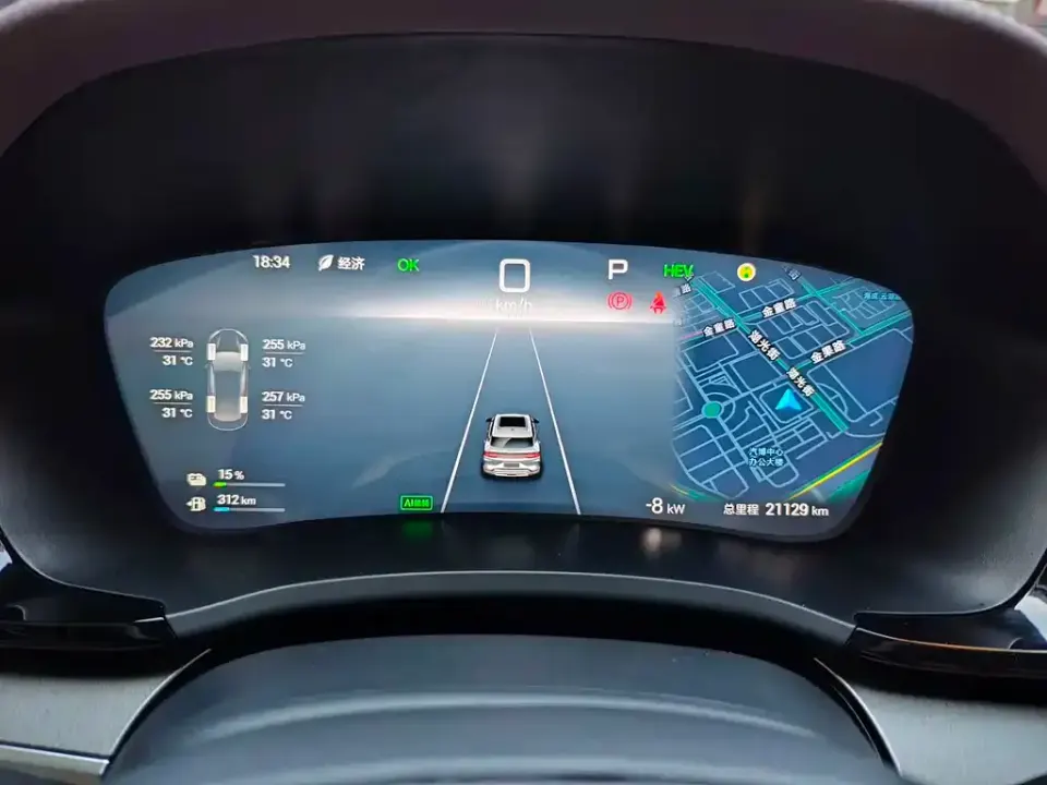 BYD PLUS New Energy