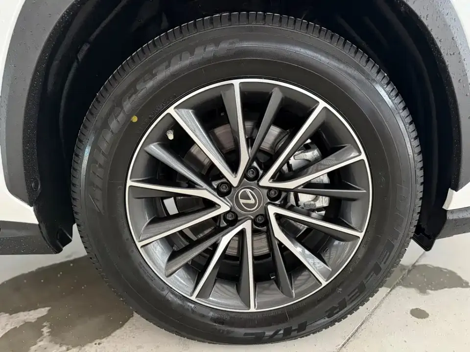 Lexus NX New Energy