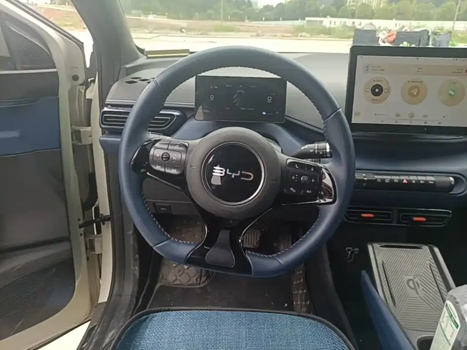 BYD Seagull