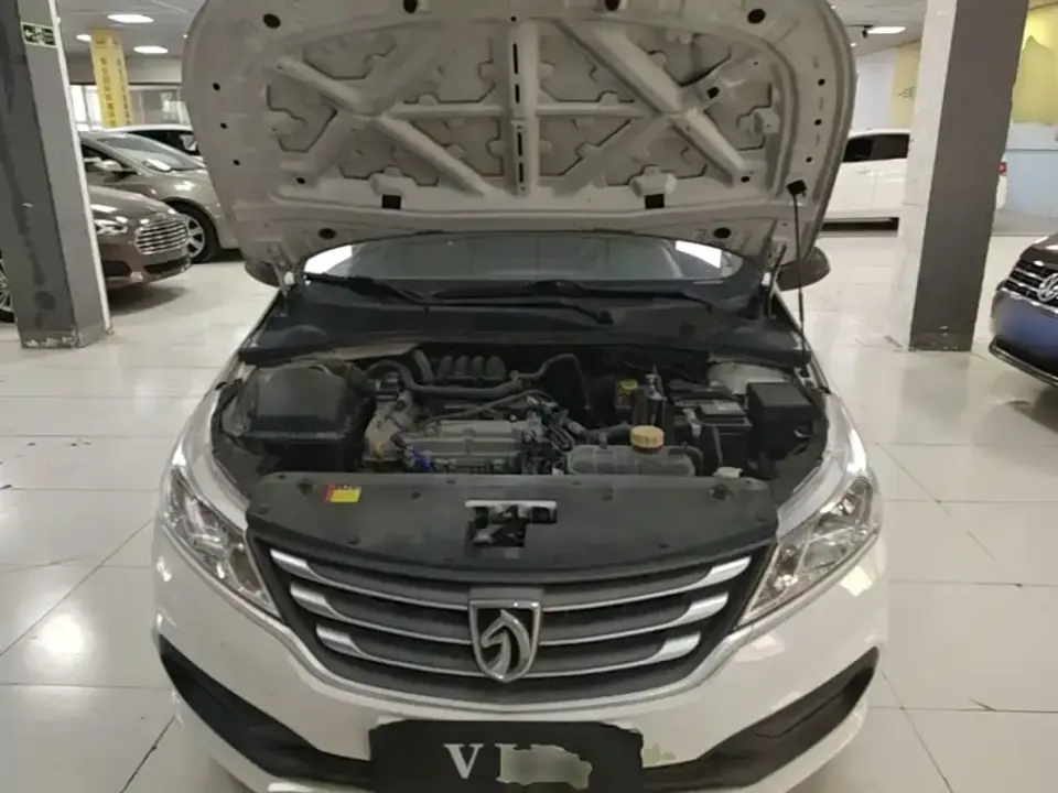 Baojun 310