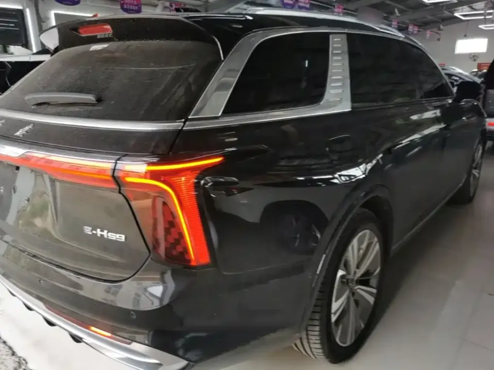 Hongqi Hongqi E-HS9