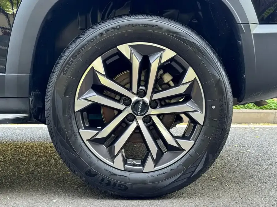 Haval Big Dog