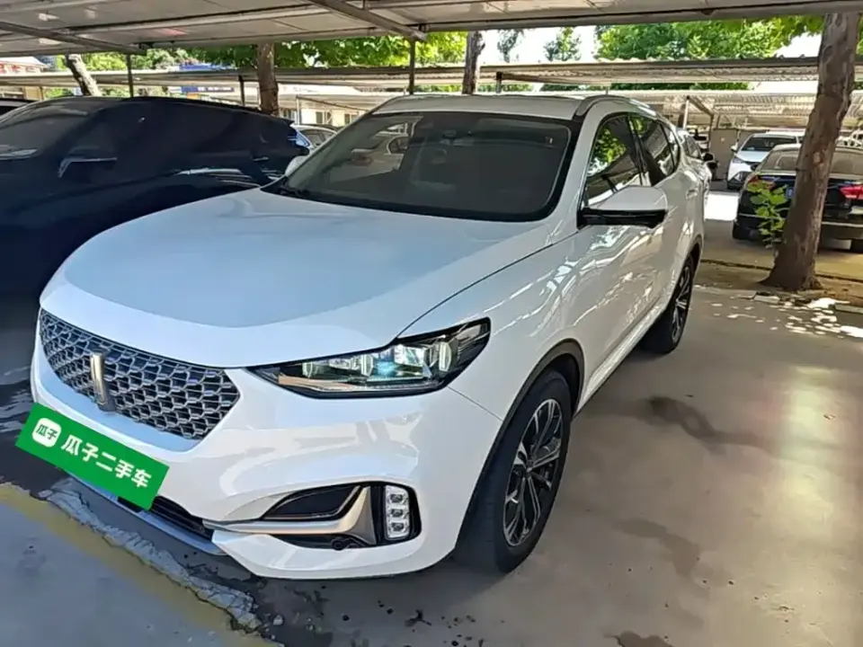 WEY Wey VV6