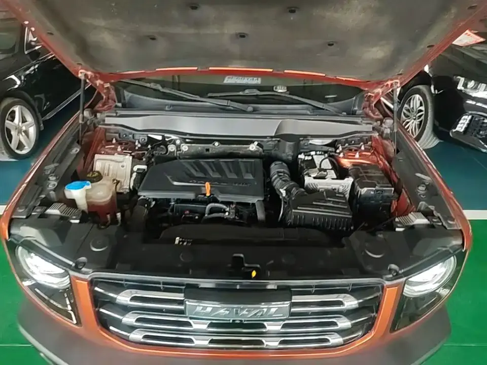 Haval Big Dog