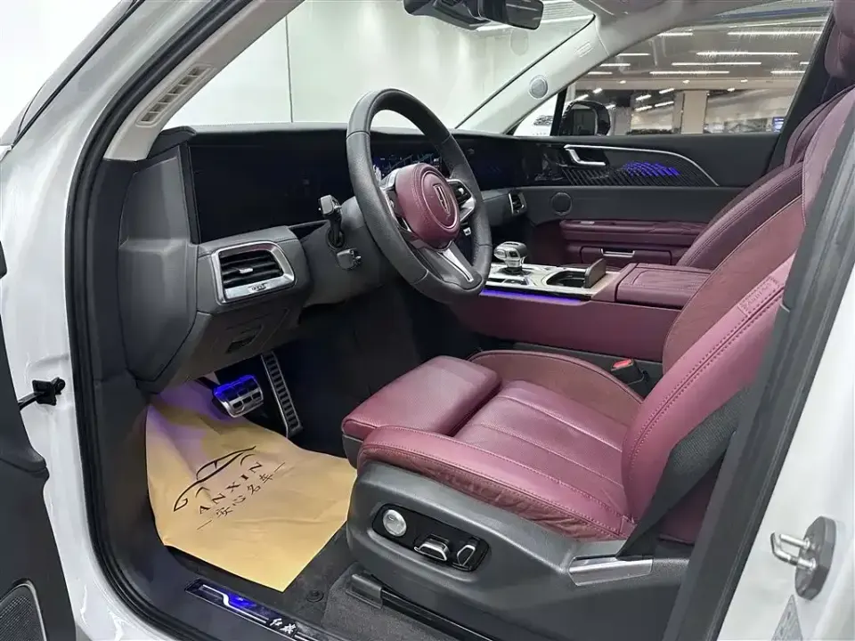 Hongqi Hongqi E-HS9