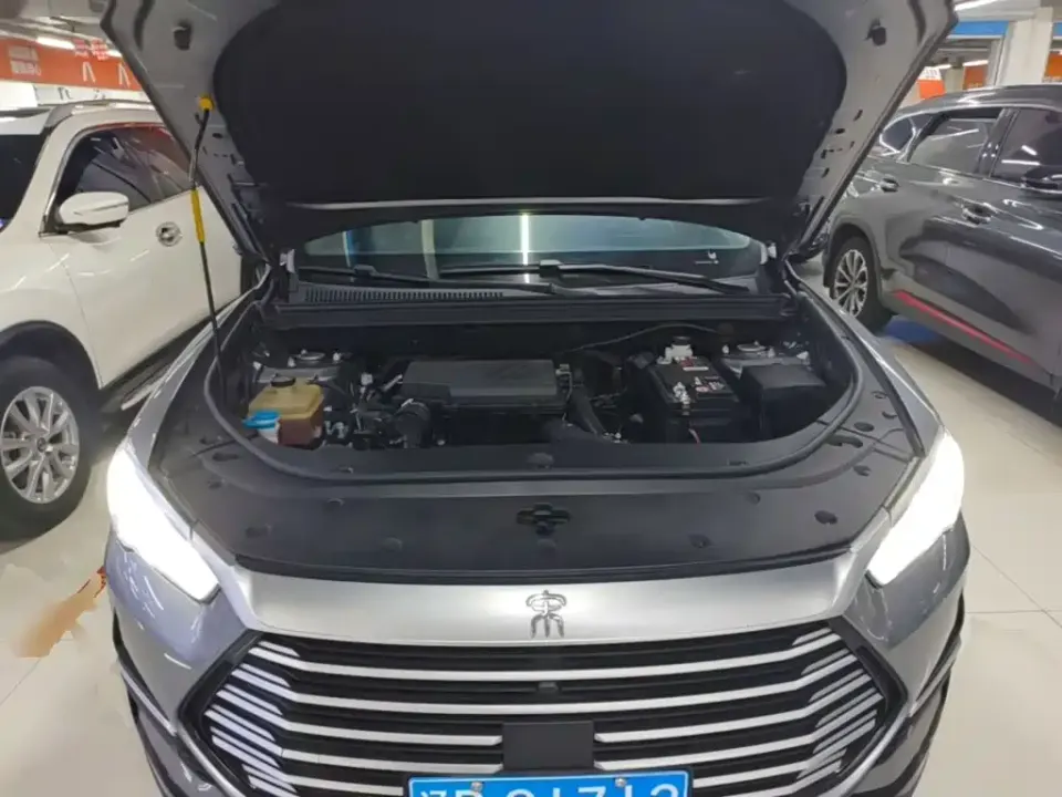 BYD Pro