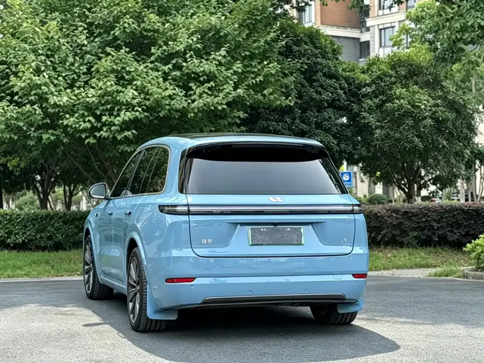 Li Li L9