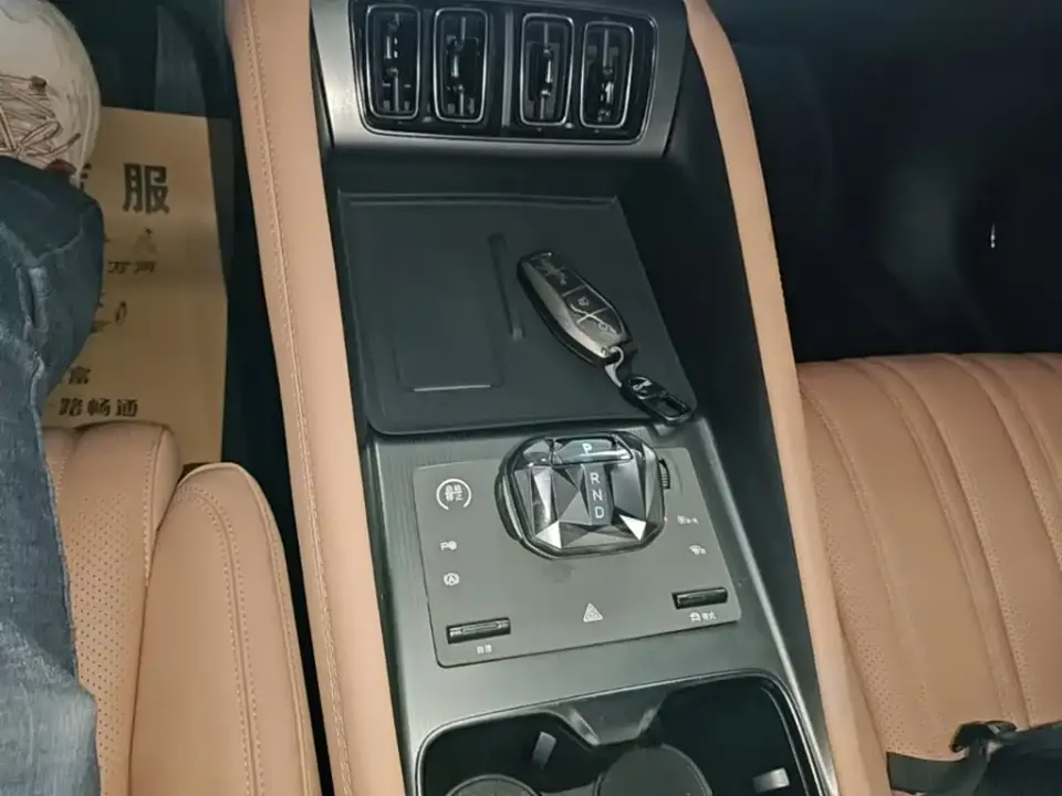 BYD L EV
