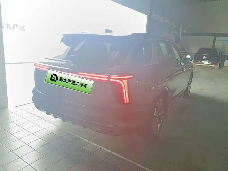 Hongqi Hongqi E-HS9