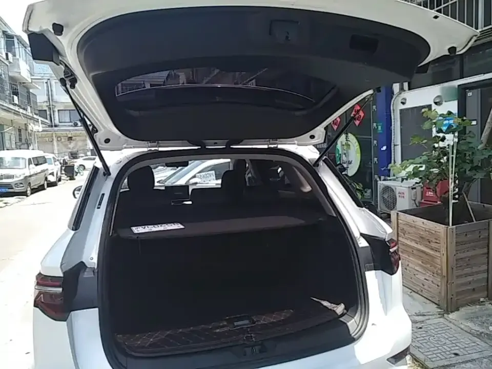 BYD Pro New Energy