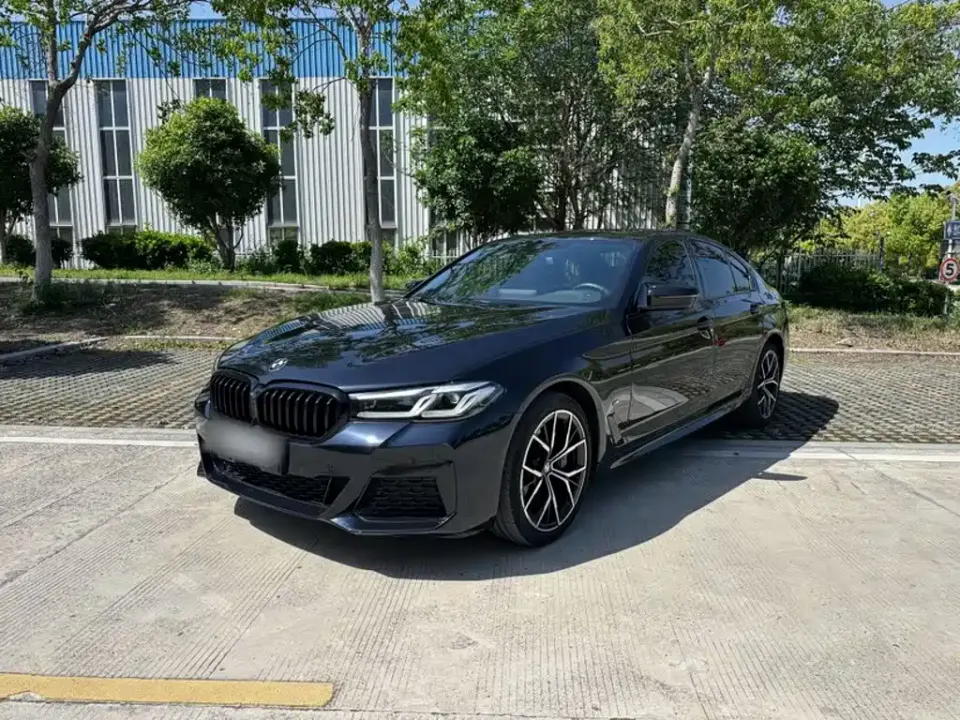 BMW 5 Series (Import)