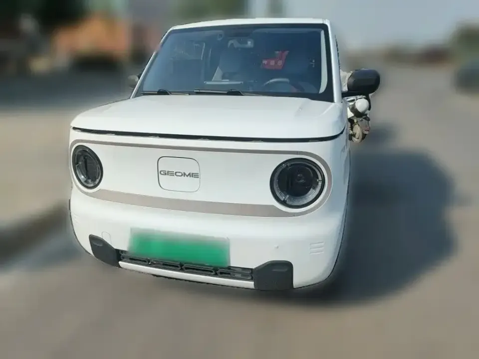 Galaxy Panda