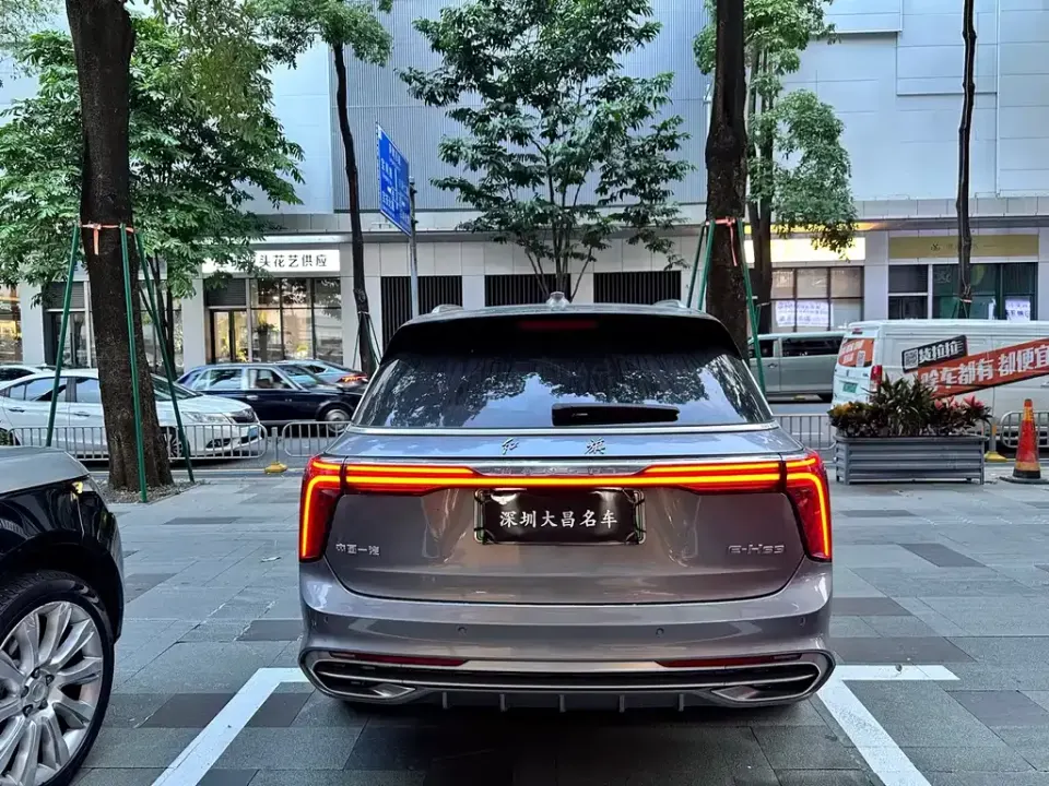 Hongqi Hongqi E-HS9