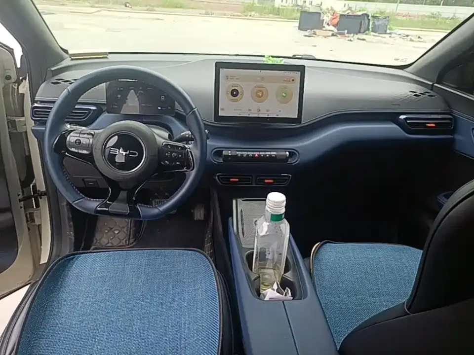 BYD Seagull