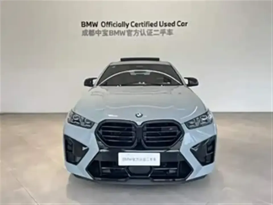 BMW X6 M