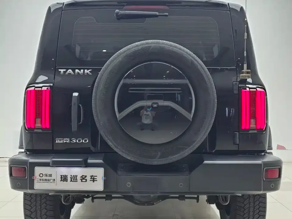 Tank 300