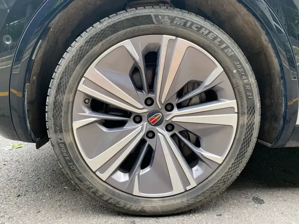 Hongqi Hongqi E-HS9