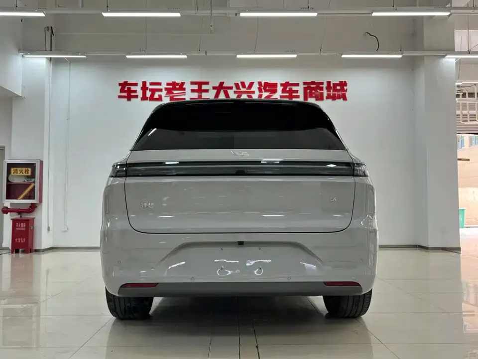 Li Li L6