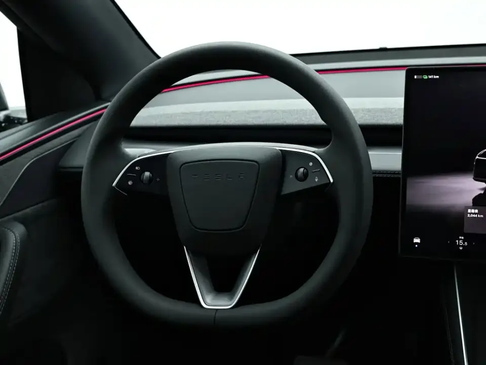 Tesla Model Y L