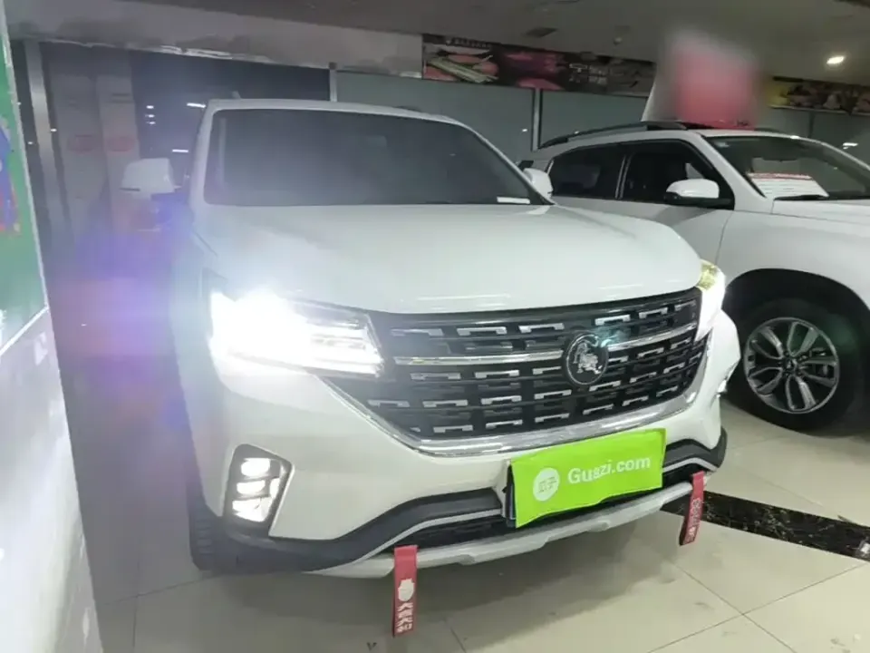 Fengxing Fengxing T5L