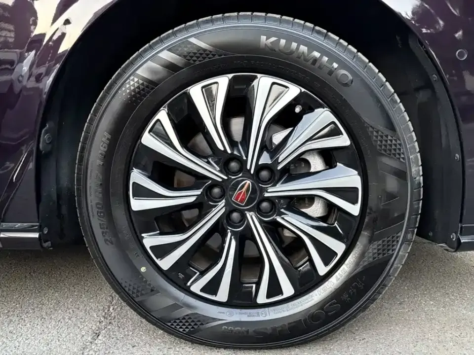 Hongqi Hongqi HQ9