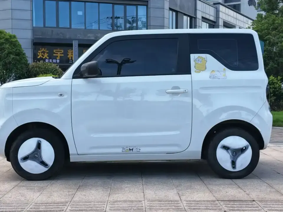 Galaxy Panda