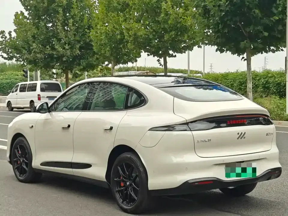IM Motors IM LS6