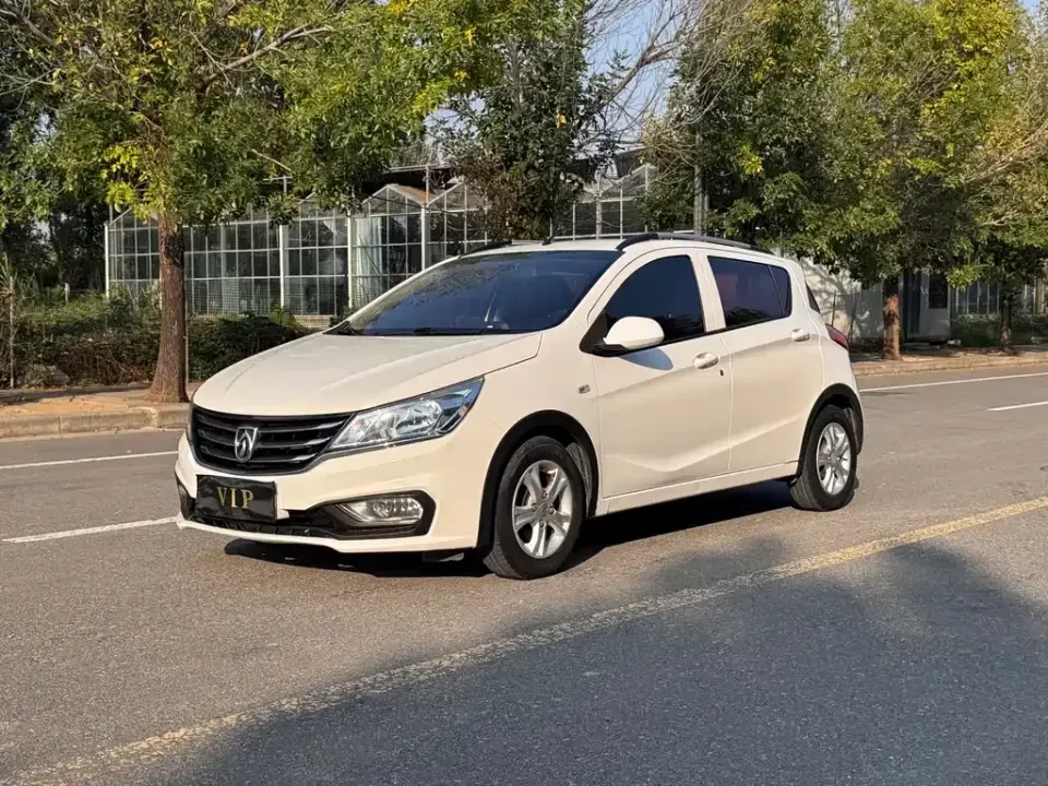 Baojun 310