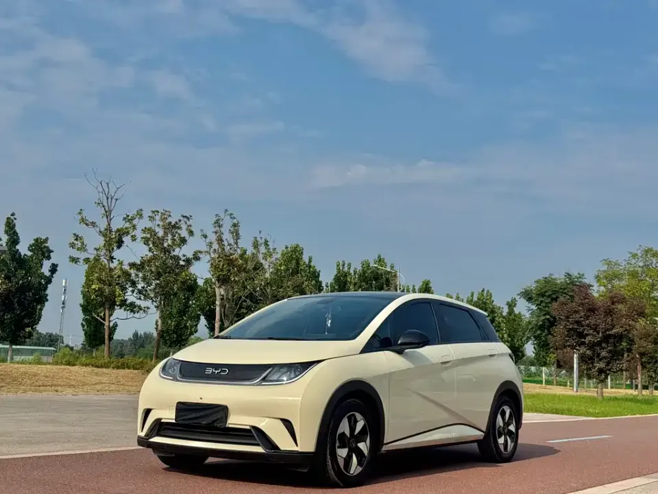 BYD Dolphin