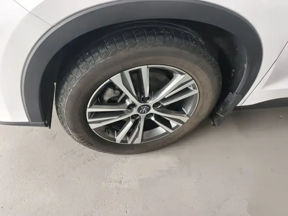 BYD Pro