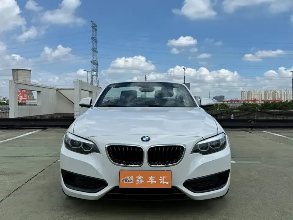 BMW 2 Series (Import)