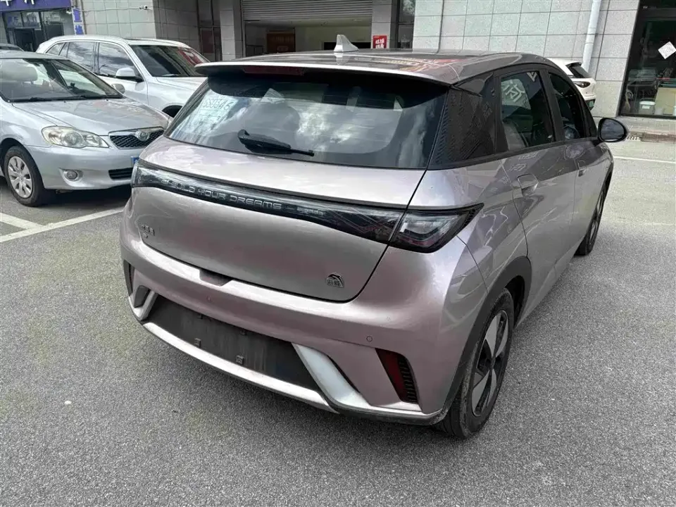 BYD Dolphin