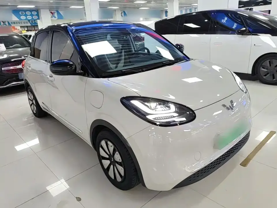 Wuling Bingo
