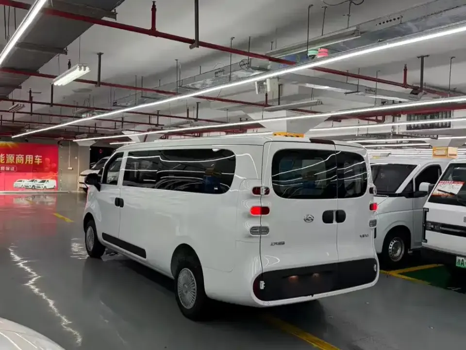 Maxus V1L