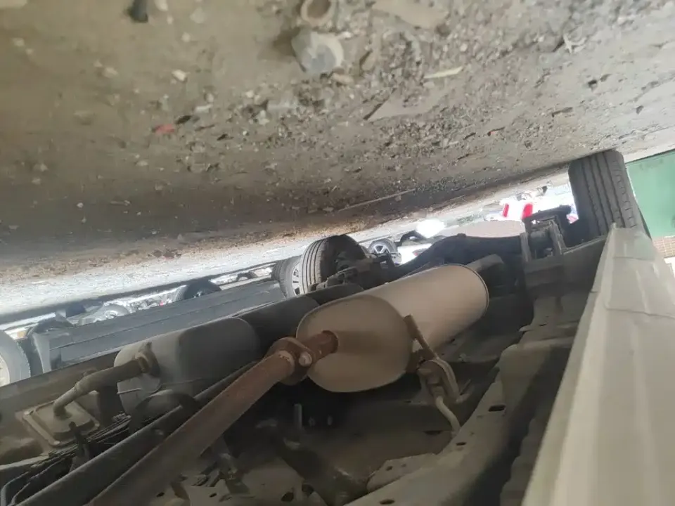 Fengxing Lingzhi