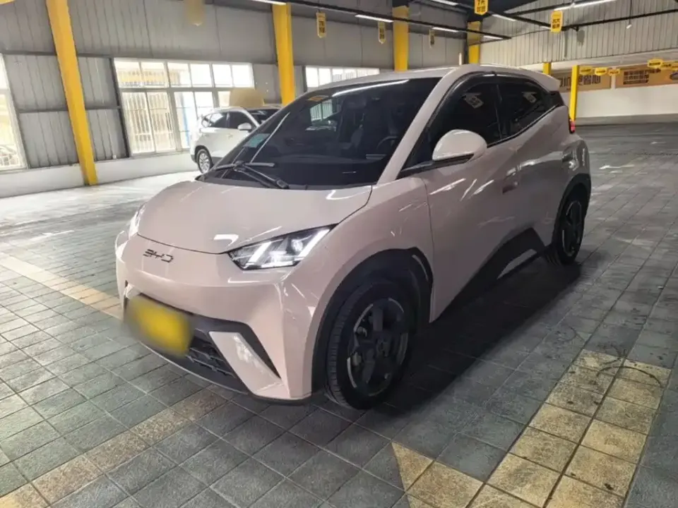 BYD Seagull