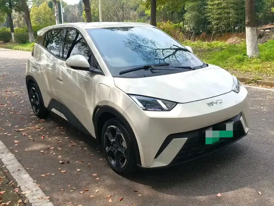 BYD Seagull