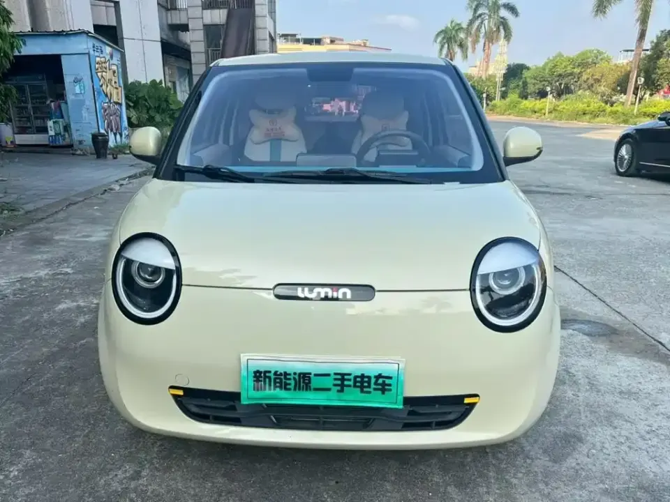 Qiyuan Lumin