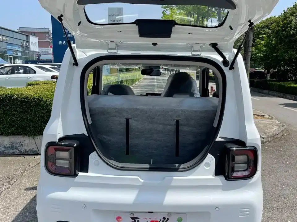 Galaxy Panda